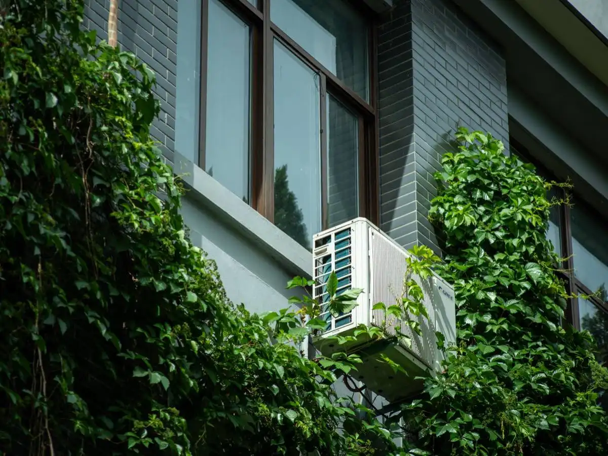 Energy-Efficient Window Replacement in Newport News, VA